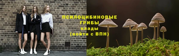 соль ск Волоколамск