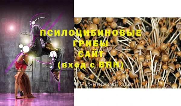 соль ск Волоколамск