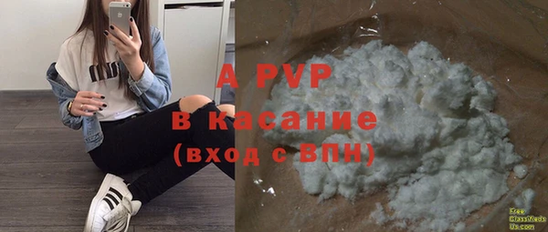 стафф Володарск