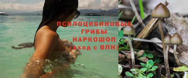 стафф Володарск