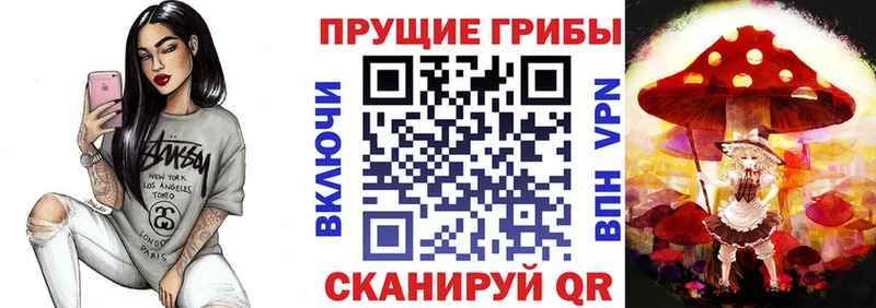 Псилоцибиновые грибы MAGIC MUSHROOMS  что такое наркотик  Новоржев 